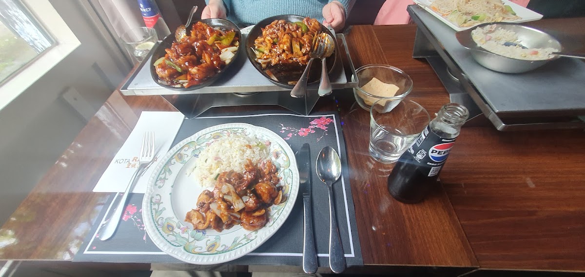 Kota Radja Chinees-Indisch Restaurant-6